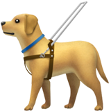 Собака-поводир