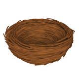 Порожнє гніздо